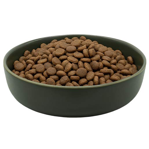maxidog allround athletic reico