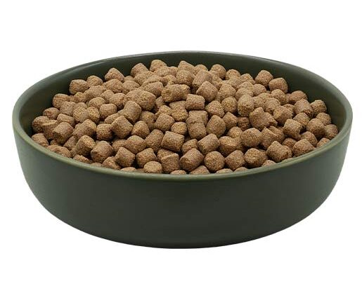 maxidog allround champion REiCO