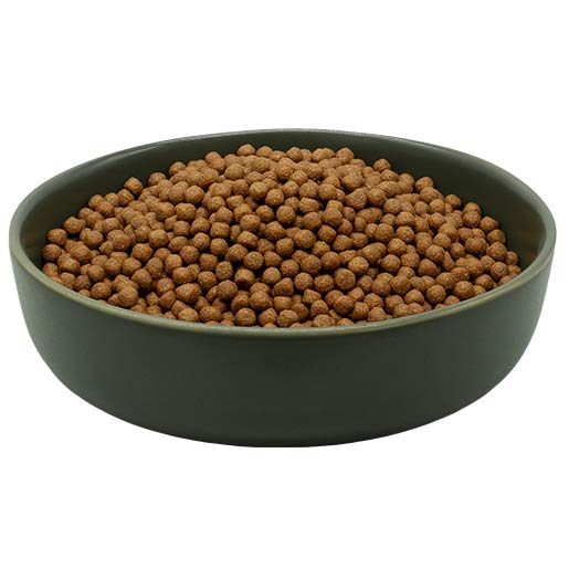 maxidog allround junior reico