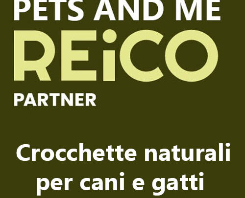 reico crocchette Roma