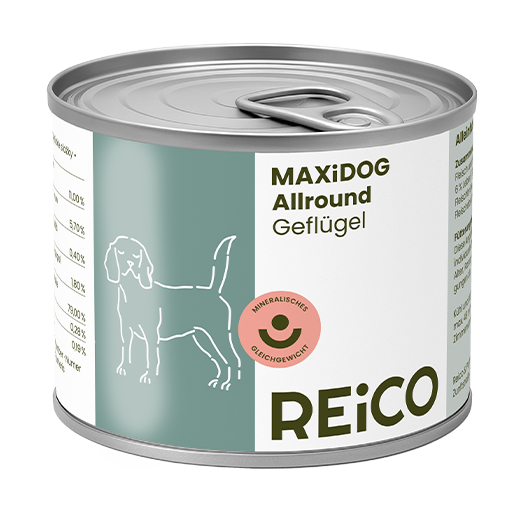 REiCO scatolette, cibo umido naturale