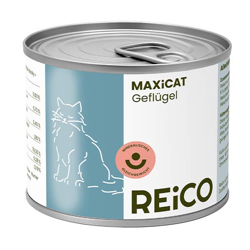 maxicat pollame reico