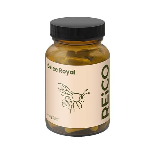 reico gelee royal 60 capsule