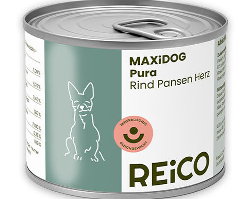 umido per cani